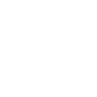 TSet Logo